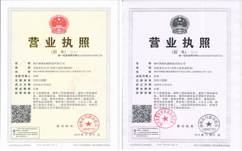 公司(si)2009年成立(lì)